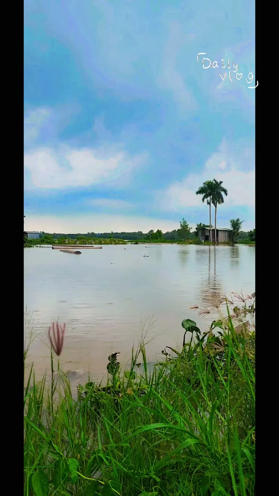 Ảnh thumbnail thật của Reel về bình yên Bến Tre