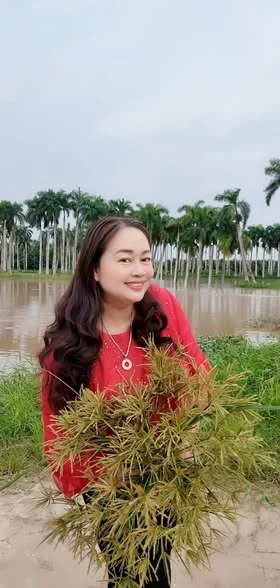 Ảnh quê hương từ bài Facebook của Yenlee