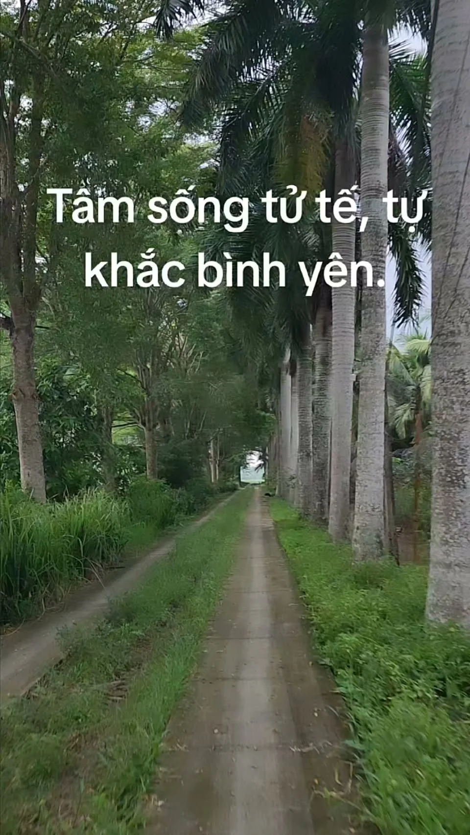 Ảnh thumbnail thật của Reel về sự tử tế