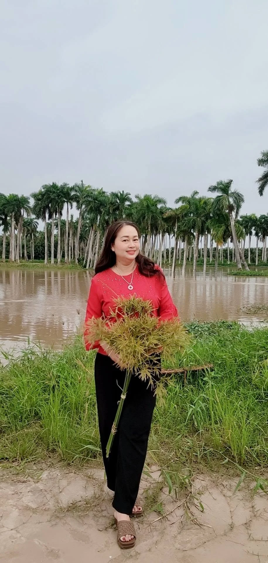 Khoảnh khắc bên vườn rau và hàng cây ở miền quê